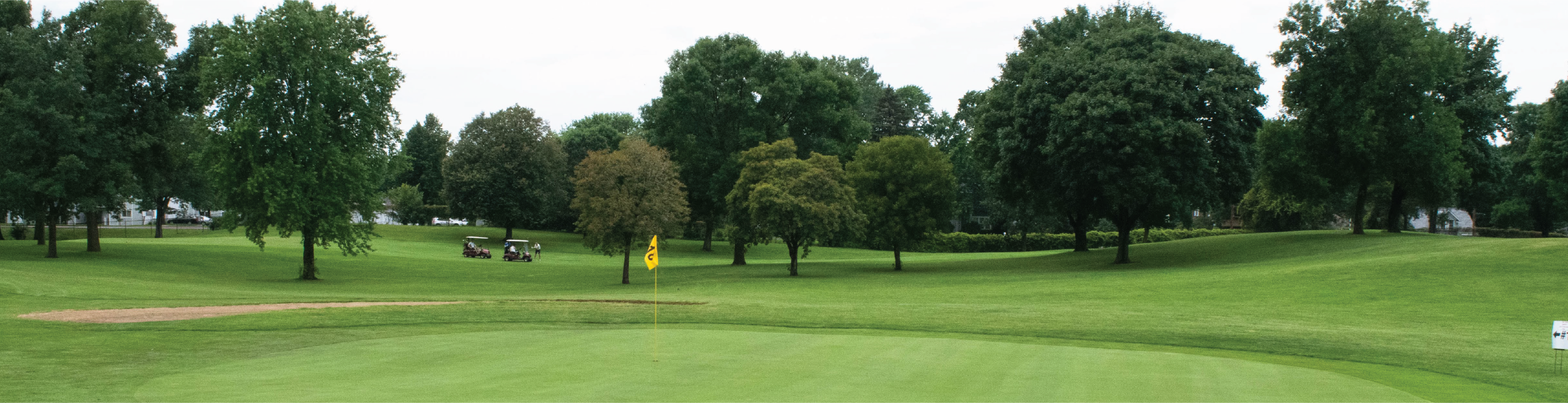 Green of golf course surrounded by trees, yellow flag in middle