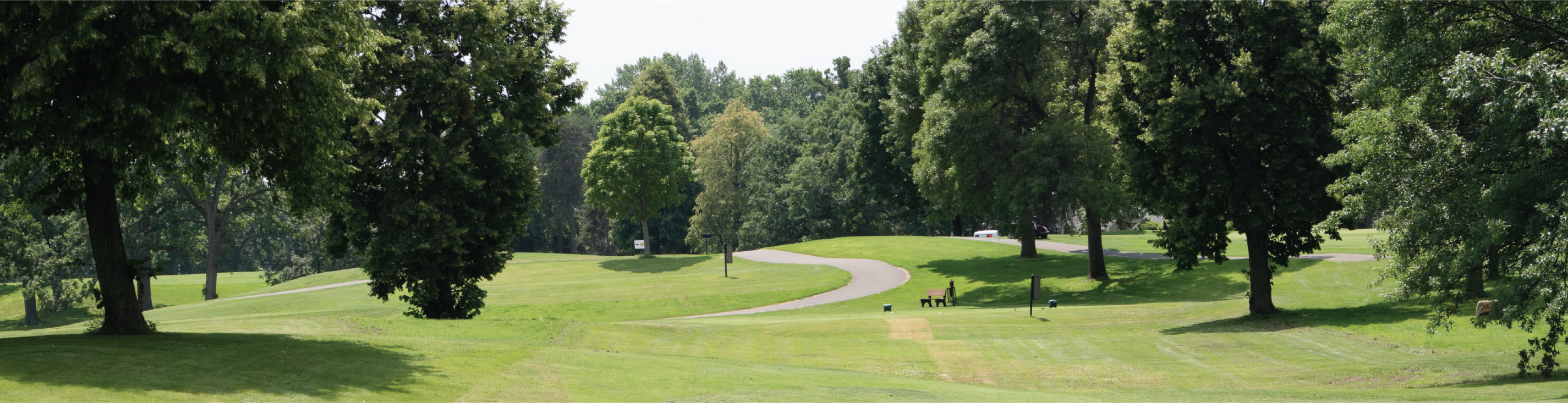 green gold course with trees on side and sidewalk curving down the middle